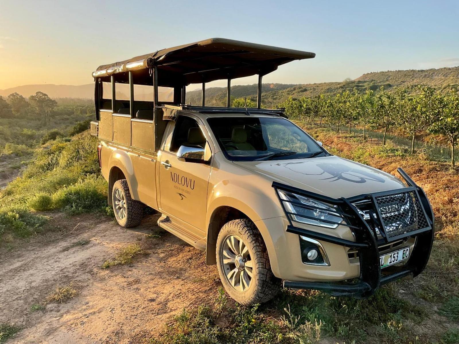 Ndlovu Addo River Lodge Kirkwood Luaran gambar